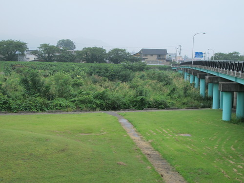 秋を感じ、そぼ降る雨に濡れての朝の散歩、８月２６日（火）・・・１　_c0075701_6402724.jpg