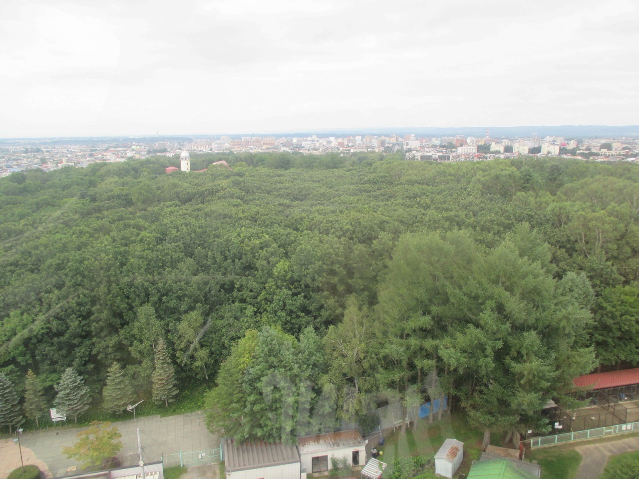 f0202703_4514142.jpg