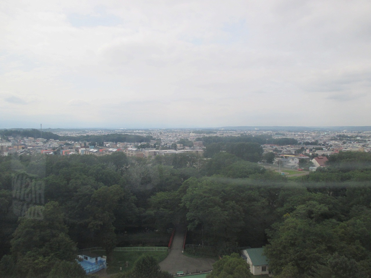 f0202703_454778.jpg