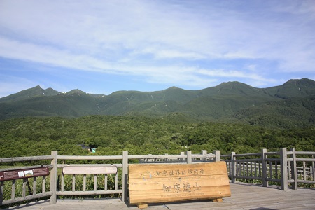 c0200413_1721099.jpg