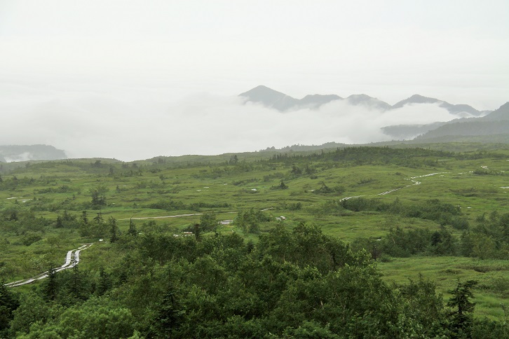 d0027320_0285627.jpg