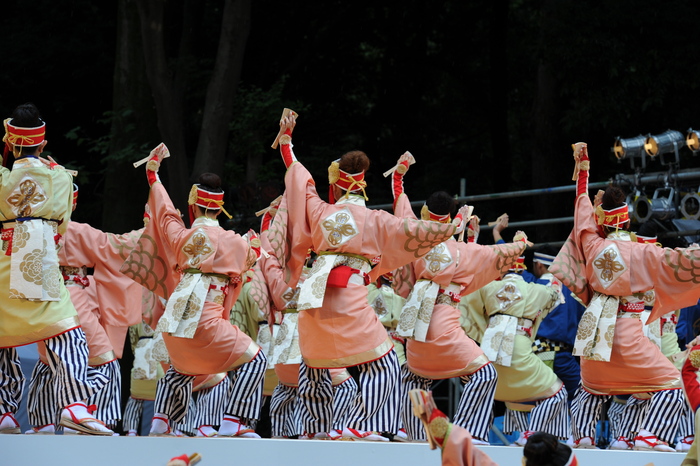 スーパーよさこい2014・・・ほにや（敬称略）　　高知県_c0276323_2291927.jpg