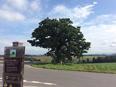 f0171227_13252273.jpg