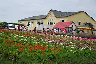 f0171227_13465170.jpg