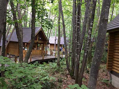 f0171227_13582296.jpg
