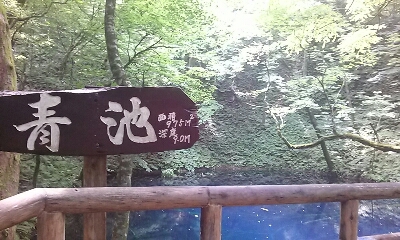 夏の旅行2014＊千畳敷と白神山地_f0186330_9515851.jpg