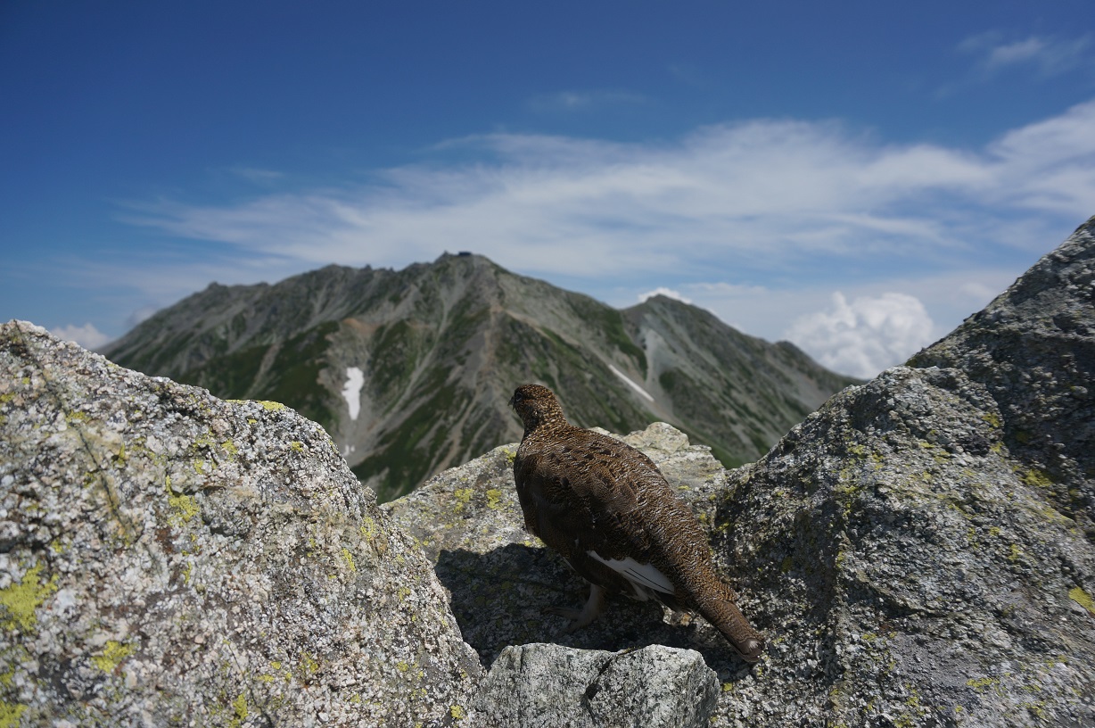 △　立山三山縦走プラン(雷鳥沢キャンプ場テント泊)　△_f0348933_21430692.jpg