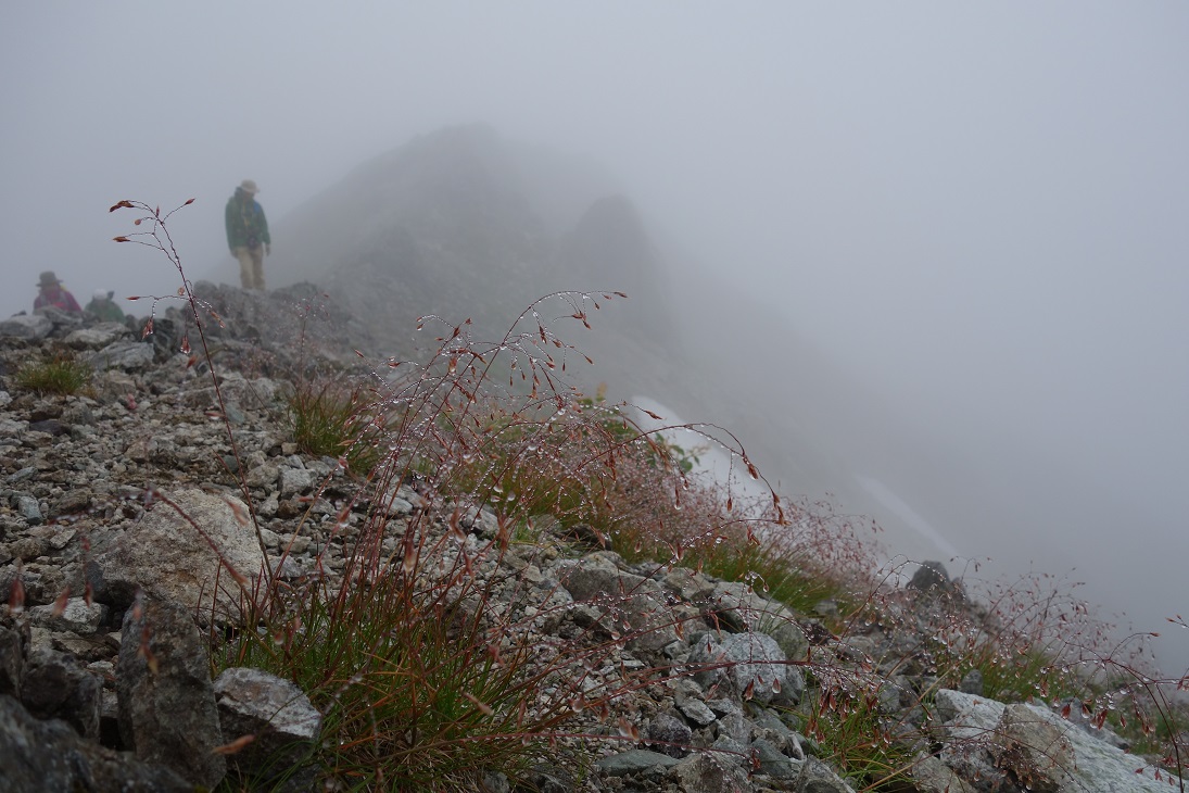 f0348933_23181491.jpg