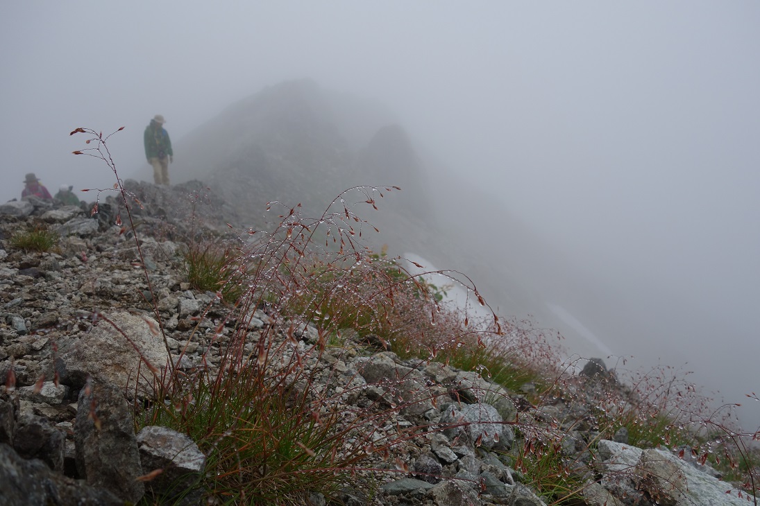 △　立山三山縦走プラン(雷鳥沢キャンプ場テント泊)　△_f0348933_23181491.jpg