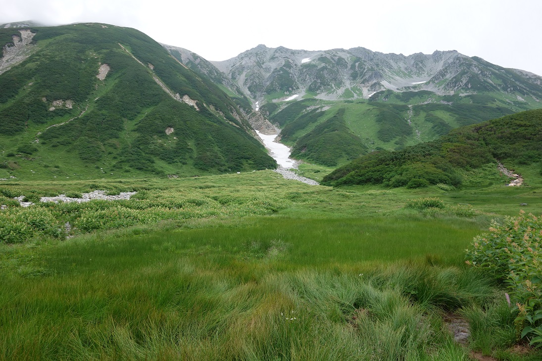 △　立山三山縦走プラン(雷鳥沢キャンプ場テント泊)　△_f0348933_23395034.jpg