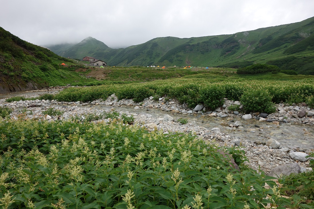 f0348933_23413913.jpg