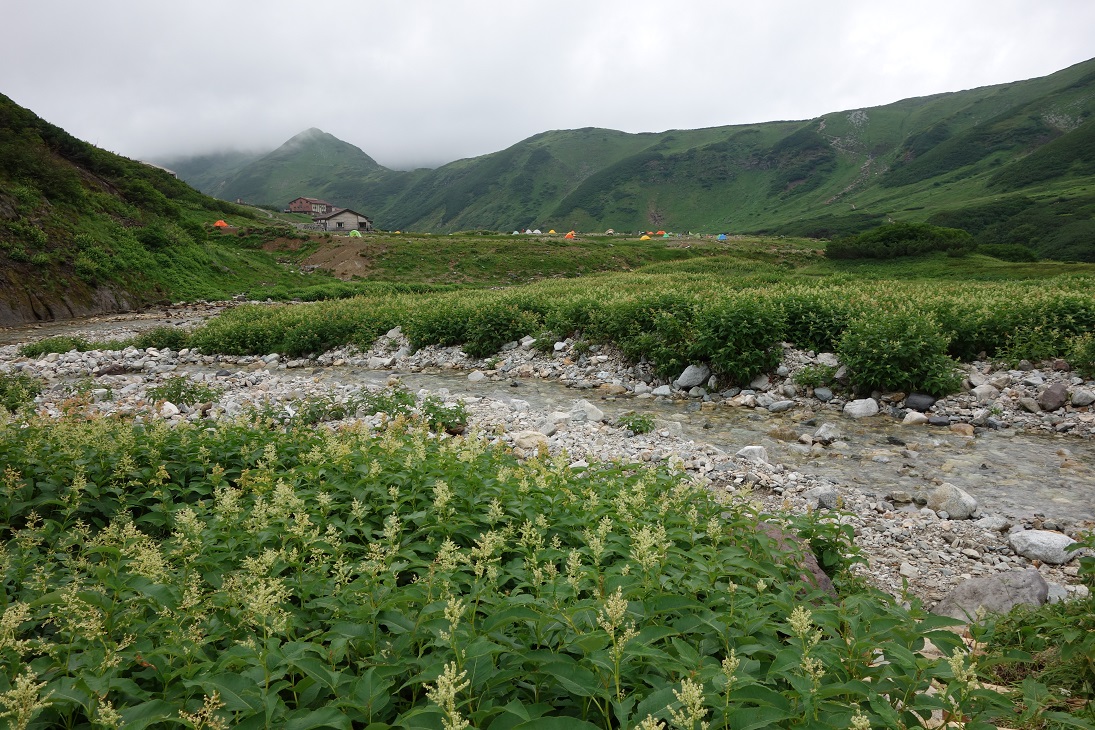 △　立山三山縦走プラン(雷鳥沢キャンプ場テント泊)　△_f0348933_23413913.jpg