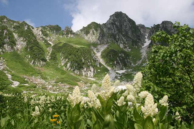 中央アルプス最高峰木曽駒ｹ岳　千畳敷カールお花畑_a0289242_10395641.jpg