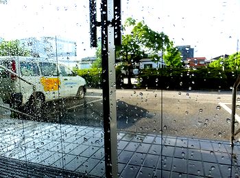 猛暑あり大雨ありの夏_a0068844_1638613.jpg