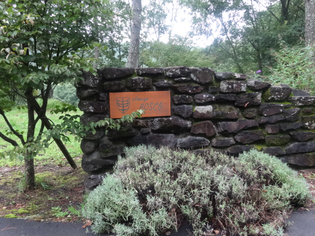 c0306845_7535159.jpg