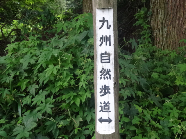 c0306845_755443.jpg