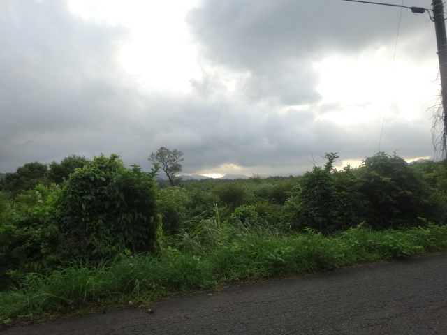 c0306845_759514.jpg