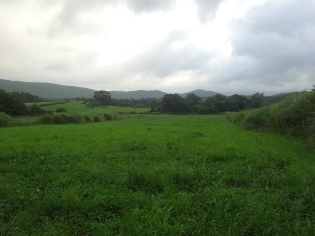 c0306845_8141457.jpg