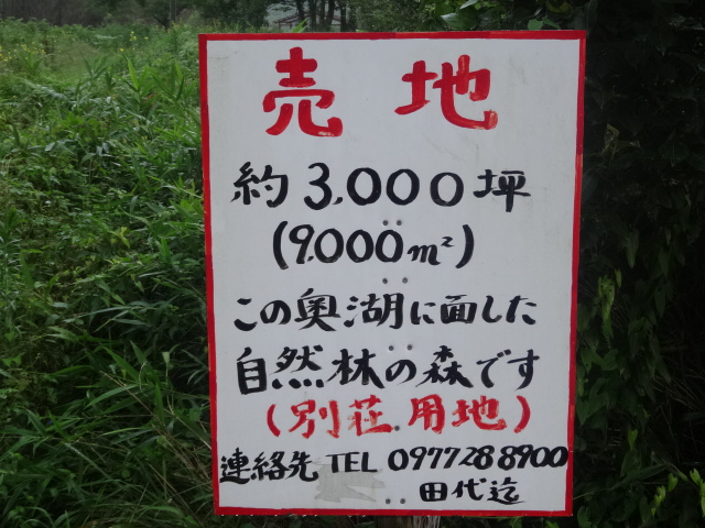 c0306845_8164569.jpg