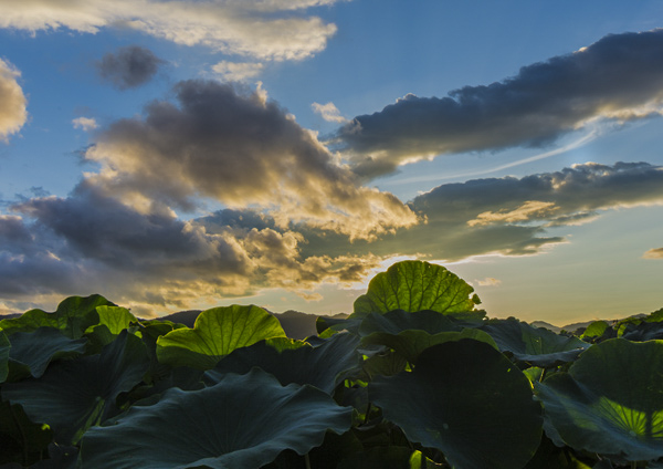 久しぶりの青空_d0163550_2257383.jpg