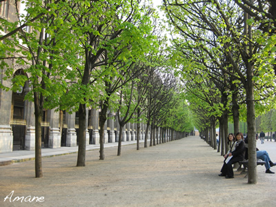 Paris_e0262651_6592164.png