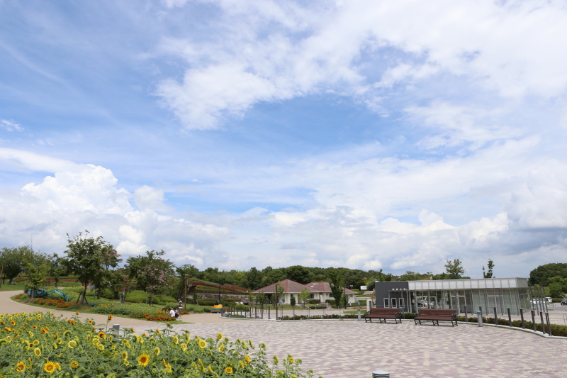 c0272958_21255859.jpg