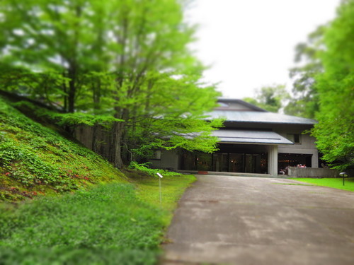 natural Cafeínaのアサイーボウル @セゾン現代美術館<閉店>_f0236260_0395767.jpg