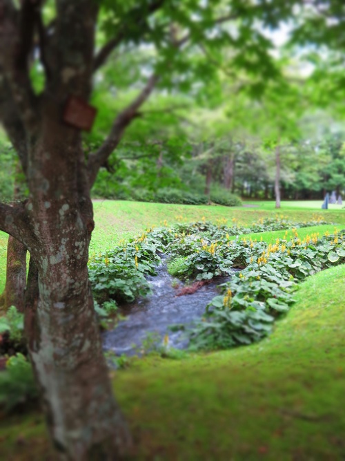 natural Cafeínaのアサイーボウル @セゾン現代美術館<閉店>_f0236260_0455296.jpg