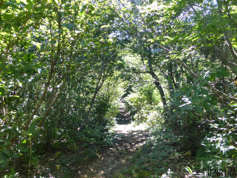 d0110562_16203722.jpg