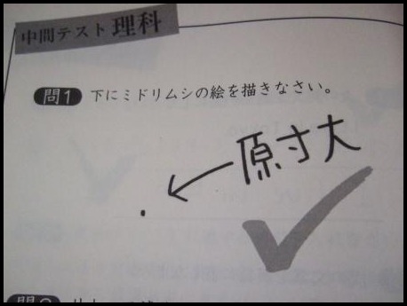 珍回答 おじんのporsche と どんぶらこっこ