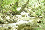 c0205169_11145440.jpg