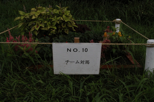 f0207669_95849.jpg