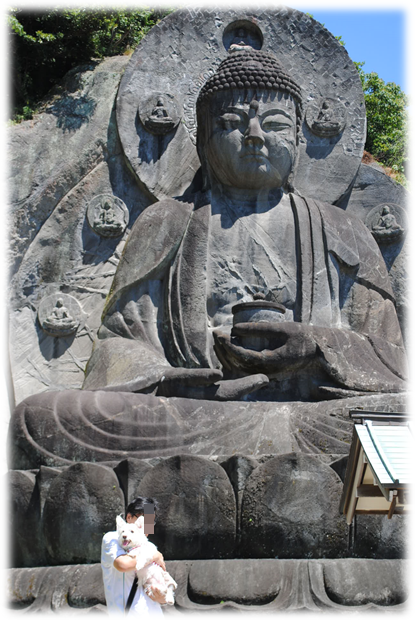 b0242873_23442535.png