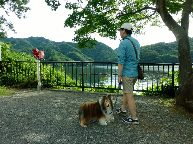 懐かしきレトロな観光地・・相模湖_a0157174_19334820.jpg