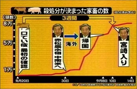 必要なのは視察することではない_d0044584_952276.jpg