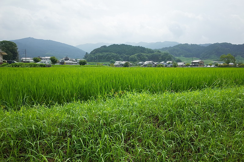  明日香・飛鳥_f0238186_23130471.jpg