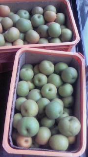 頂き物_e0161791_1304488.jpg