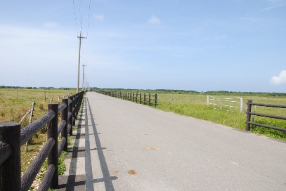 b0191693_13243357.jpg