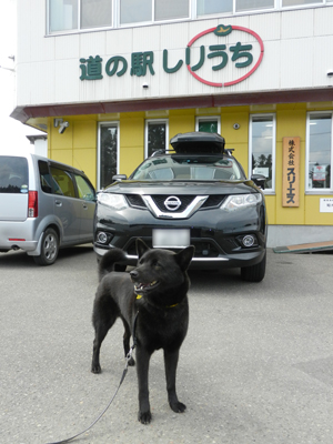 LOVELY 那奈ちゃんが行く！ その84 ～甲斐犬 那奈 北海道「道の駅」完全制覇～_e0204795_10242879.jpg