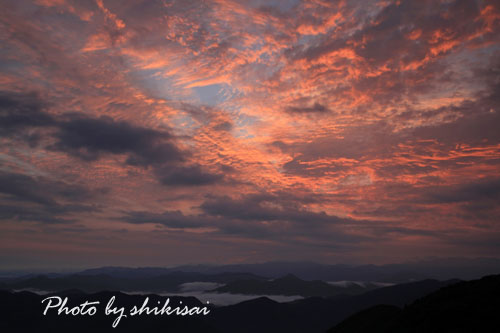 野迫川の雲海(2014-No.22)_a0135396_15572116.jpg