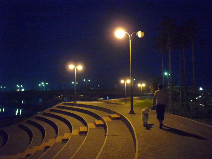 c0049299_16105338.jpg