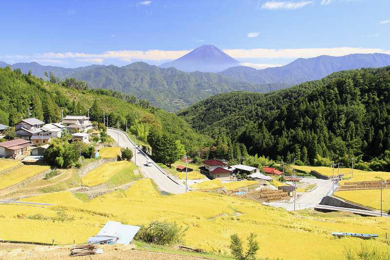 平林の棚田（山梨県富士川町）_a0188405_21455266.jpg