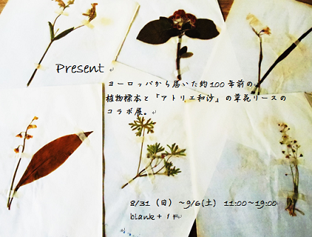 f0190010_20553618.png