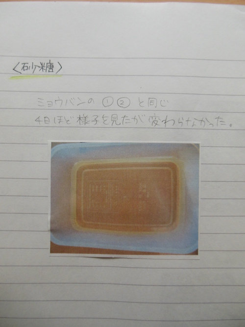 f0208812_13102666.jpg