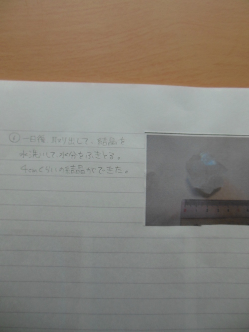 f0208812_1395548.jpg