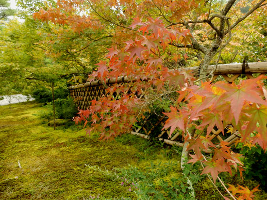 鷹ヶ峰 光悦寺_e0048413_22241591.jpg