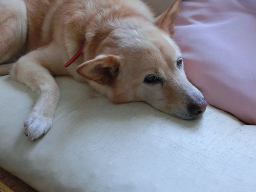 e0254813_20104791.jpg
