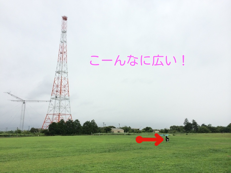 雨だね　続き_a0232619_18575376.png