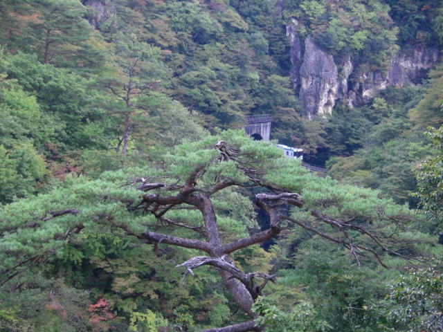 c0074721_16472883.jpg