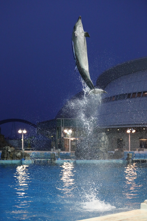 Port of Nagoya Public Aquarium　【August 2014】_f0253927_21265110.jpg